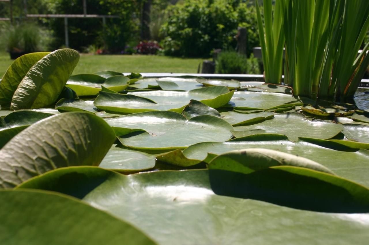 לינה וארוחת בוקר Céron Les Jardins Des Soussilanges מראה חיצוני תמונה