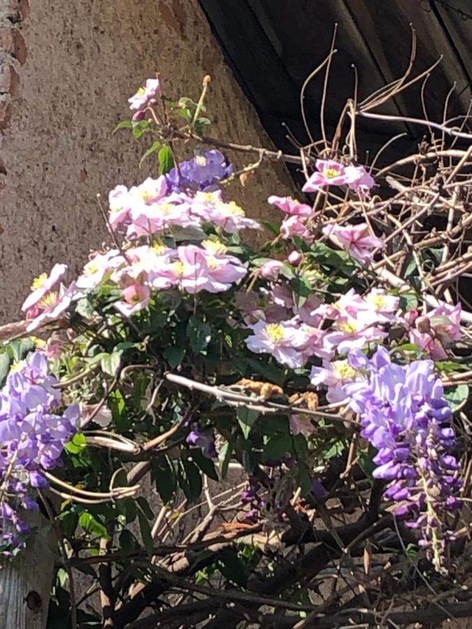 לינה וארוחת בוקר Céron Les Jardins Des Soussilanges מראה חיצוני תמונה
