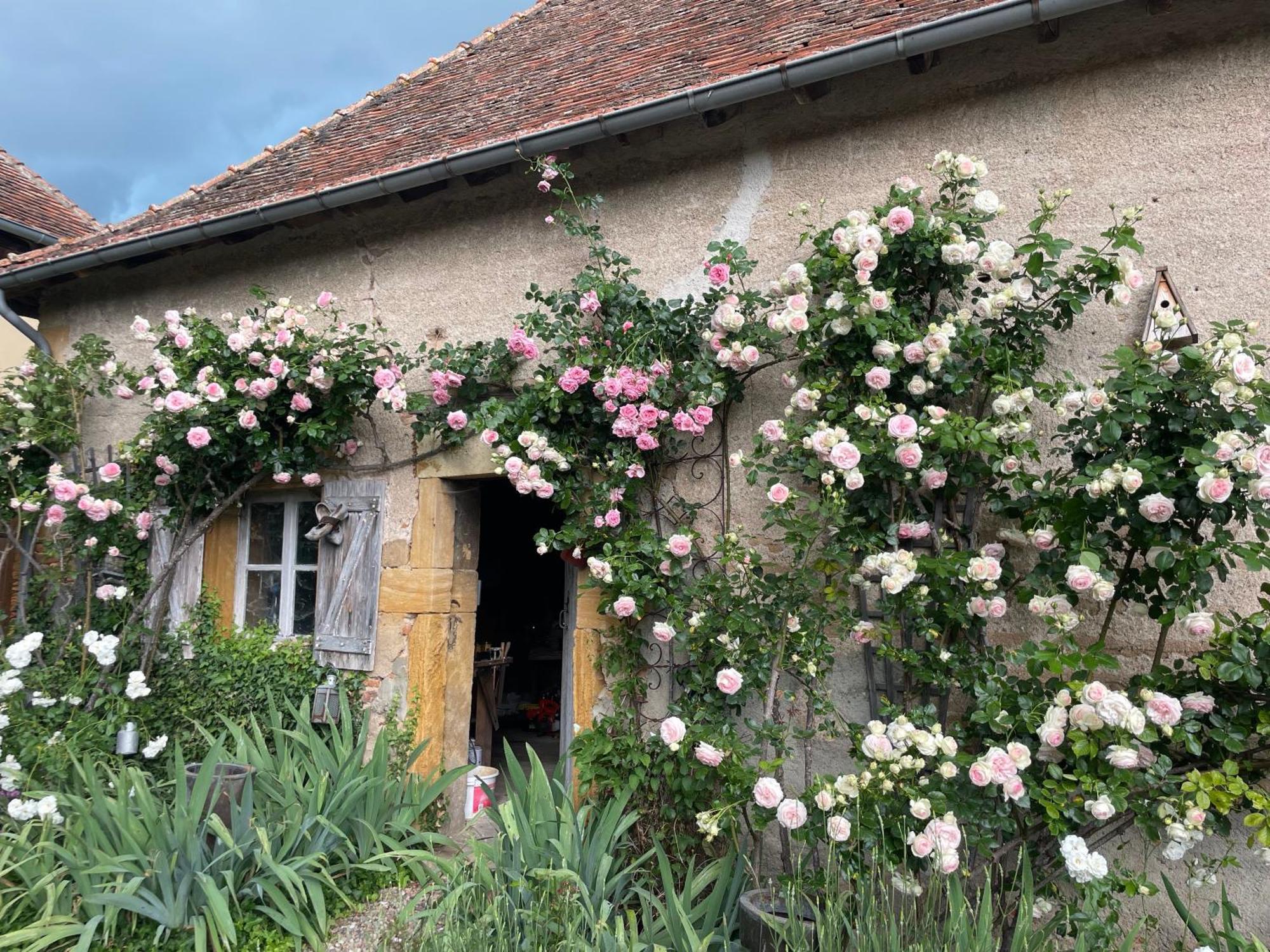 לינה וארוחת בוקר Céron Les Jardins Des Soussilanges מראה חיצוני תמונה