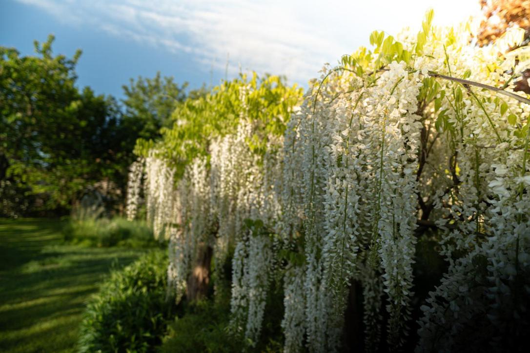 לינה וארוחת בוקר Céron Les Jardins Des Soussilanges מראה חיצוני תמונה